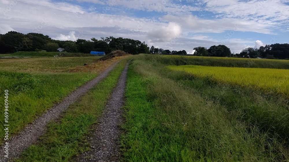 Obraz premium 草刈り前の農地