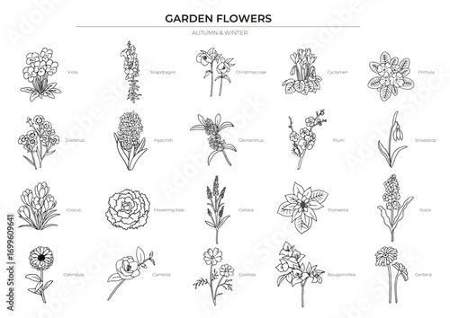 秋冬の花の線画イラストセット
