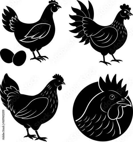 Hen silhouette vector, Black silhouette of Hen vector bundle logo illustration set, Hen head art, Hen vector illustration