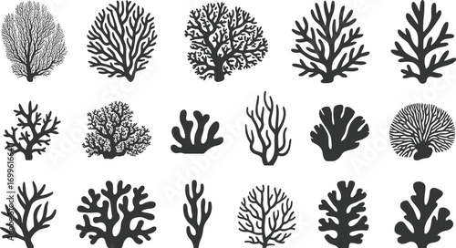 Variety of coral reef silhouettes, marine underwater life, ocean flora shapes, tropical coral vector art, sea plant collection, black coral