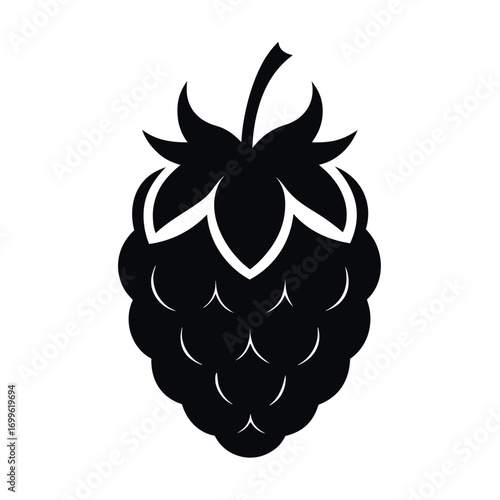 a-minimalist--stark-black-silhouette-of-a-raspberr.eps