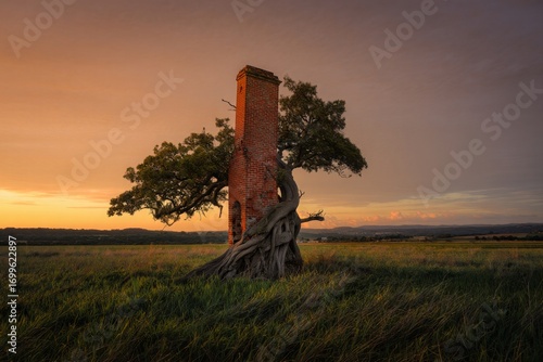Ancient Tree Embraces Ruined Stone Structure at Sunset
