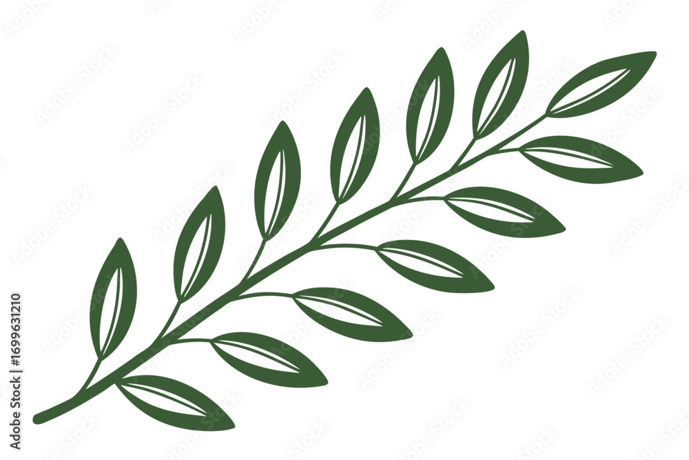 Obraz premium Green Olive Branch with Multiple Leaves on White Background olive tree nature