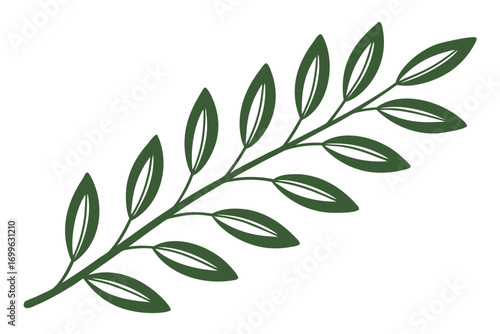 Green Olive Branch with Multiple Leaves on White Background olive tree nature