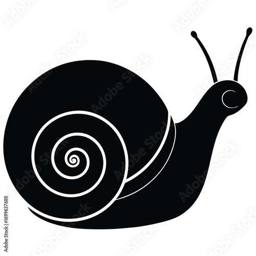snail  spiral shell  vector icon