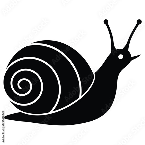 snail  freshwater  vector icon
