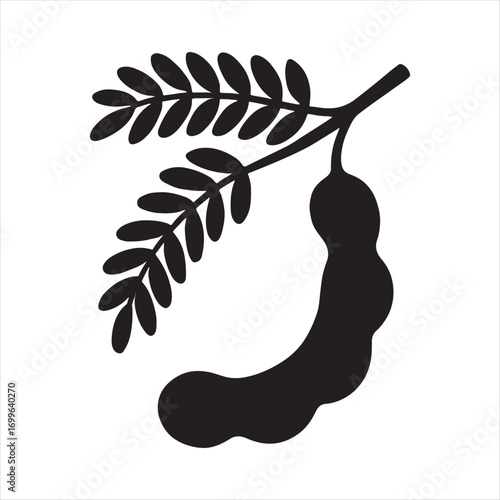 Minimalist Tamarind Illustration A Black and White Depiction of the Tamarind Fruit with Delicate Leaves for Culinary and Botanical Design Purposes