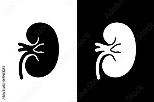 Human Kidney Vector Symbol Isolated on White Background