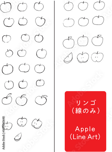リンゴ線画｜Apple Line Art 