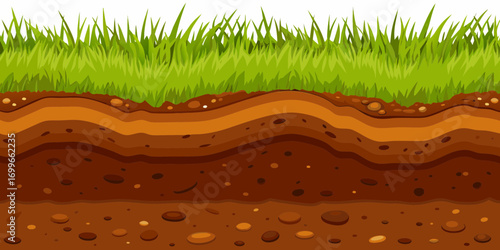 Cross section of green grass and layered soil underground
