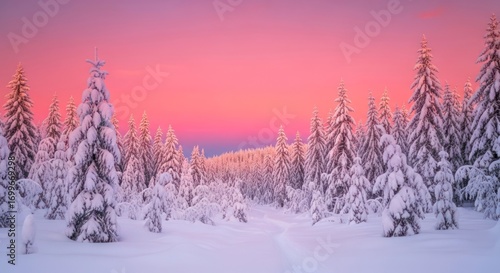 Winter Wonderland: Snowy Forest at Dawn's Soft Light