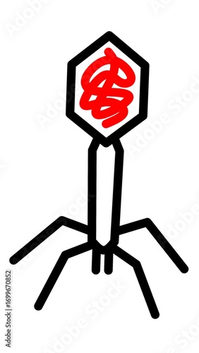 Bacteriophage Virus with DNA Illustration