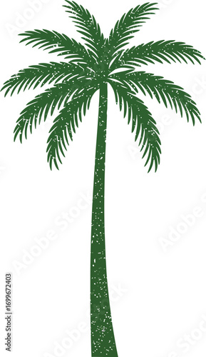 tall palm tree with lush green leaves on transparent background