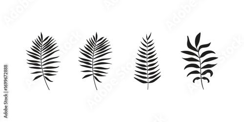 Beautiful tropical palm leaves vector illustration set featuring natural green foliage design elements for summer decoration, posters, invitations, exotic backgrounds and creative artwork