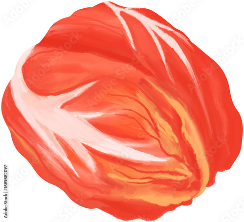 kimchi on white background