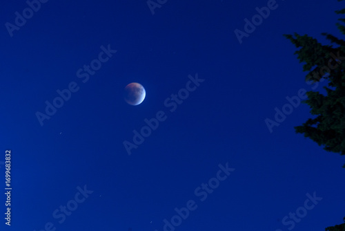 Blood moon during a full eclipse