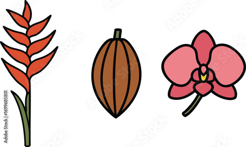 Botanical strip with brown seed pod and pink orchid blossom