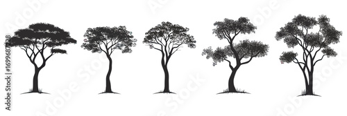 Black silhouette set of five different African savanna acacia and baobab tree icons isolated on white background flat minimalist vector illustration for logo design and nature themes