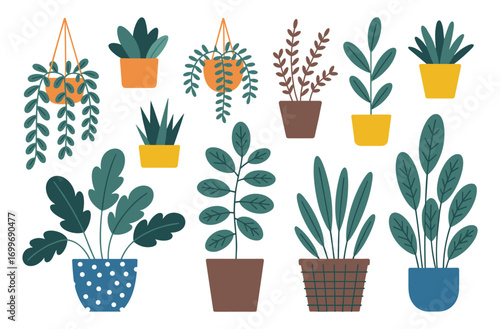 Collection of Potted Houseplants in Various Pots and Hangers potted plant indoor plant