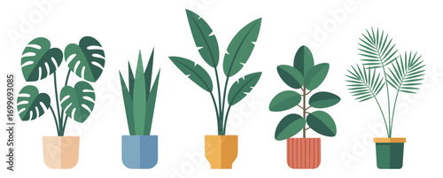 Five diverse potted houseplants with green foliage on white background potted plants
