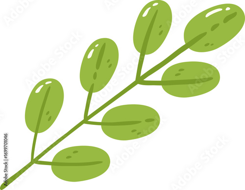Vibrant green leaf branch with rounded leaves, showcasing fresh and natural appearance, perfect for design and decoration
