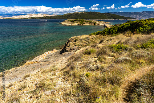 Fototapeta Naklejka Na Ścianę i Meble -  FKK naturist beach Ciganka on the island of Rab in Croatia, wild nature,