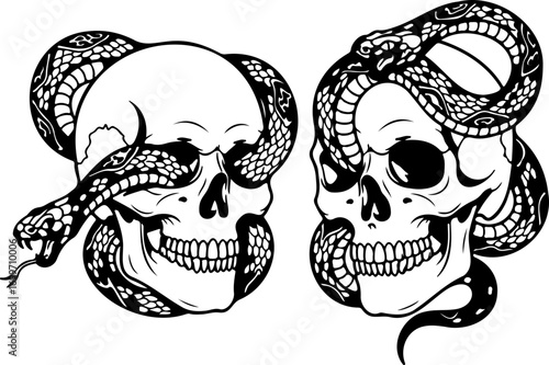 Macabre duo of intertwined skulls and serpents evoking danger mystery and the ephemeral nature of existence for gothic art and edgy designs