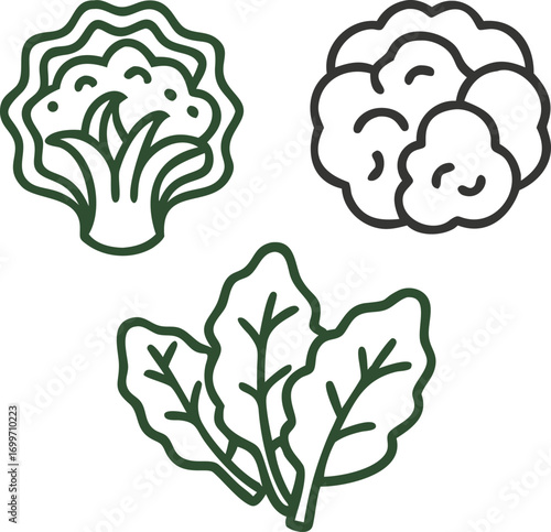 Simple icon set style: lettuce, cauliflower, and kale merged into one unified vegetable symbol.