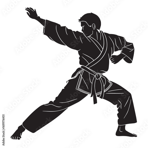 Black judo Silhouette Vector, High Quality Illustration on White Background