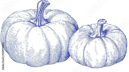 Two Blue And White Pumpkins Illustration On Transparent Background