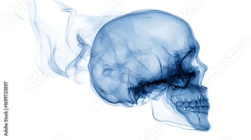 halloween   skeleton