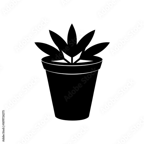 Plant in a pot silhouette on transparent background