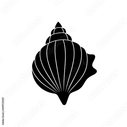 Black seashell illustration on transparent background silhouette