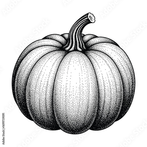 Handdrawn pumpkin illustration in a classic black and white engraving style with dotwork shading.