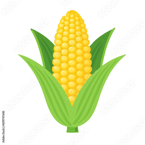 Vector corn with yellow kernels and green husk, flat style, minimal clean design, isolated