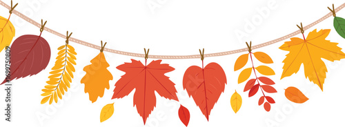 Autumn leaves hanging on a rope fall