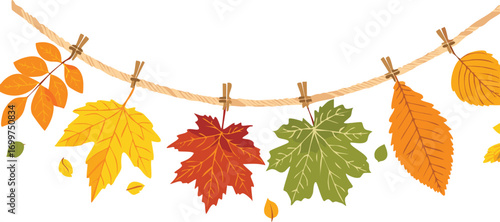 Autumn leaves hanging on clothesline with clothespins vector