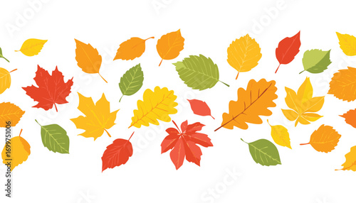 Colorful autumn leaves falling in a scattered pattern falling leaves maple leaves