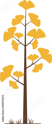 ginkgo tree