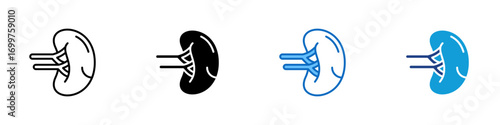 Kidney Multiple Style Icon Sheet Design Vector - Illustration of human kidney with renal vessels, symbolizing urinary system and nephrology