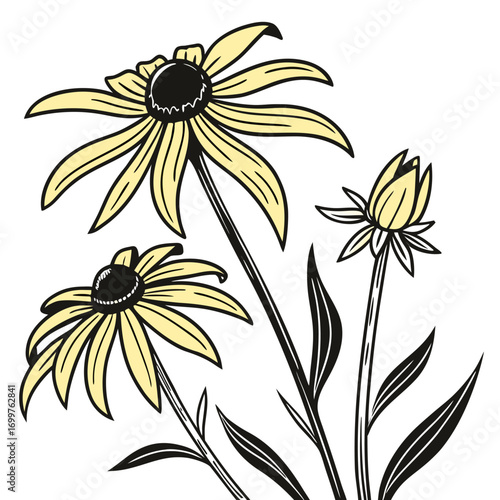 black eyed susan prairie sun with leaves 