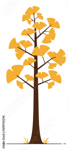 ginkgo tree