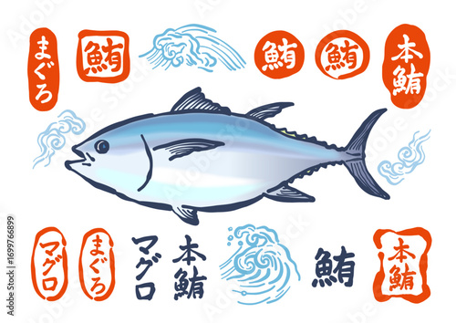 筆で描いた「マグロ」のイラストとロゴのセット。様々な種類の鮪の印とマグロのイラストのセット。A set of brush-drawn "tuna" illustrations and logos. A set of various types of tuna signs and tuna illustrations.