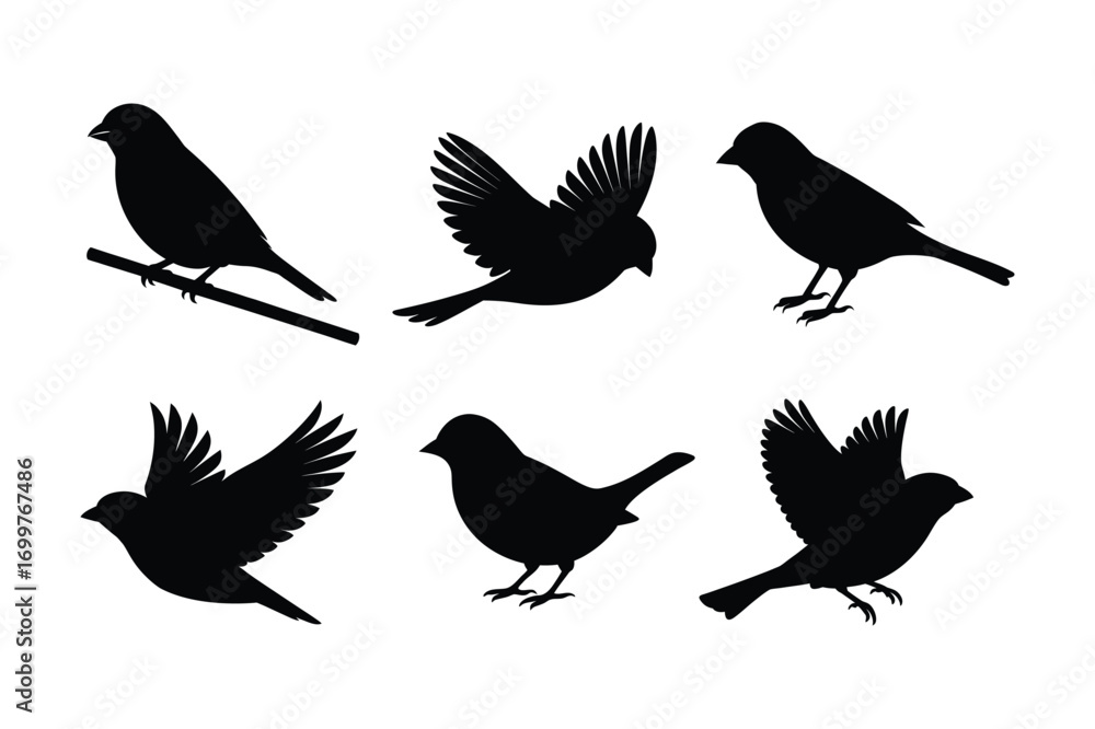 Obraz premium House bird silhouette vector illustration, Set of House bird silhouette