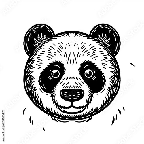 Adorable Panda Bear Face Illustration.