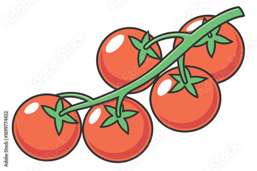 Cluster of Five Red Tomatoes on a Green Vine Stem on White Background fruit vegetable