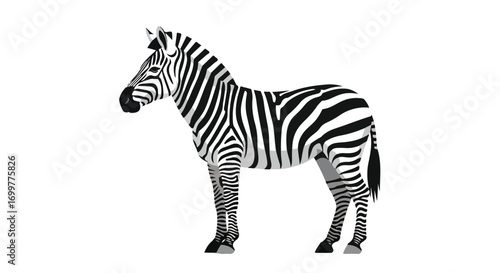 Striking Zebra Illustration Showcasing Bold Black and White Stripes Against a Clean White Backdrop Depicting Beauty and Uniqueness