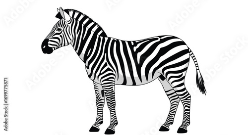Striking Zebra Illustration with Bold Black and White Stripes Depicting Wild African Animal in Artistic Presentation