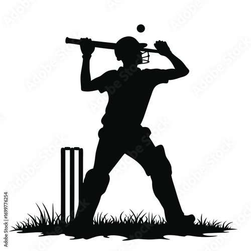 Cricket batsman silhouette preparing to hit ball on white background