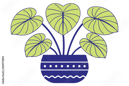 Potted plant with large green leaves in a blue decorative pot houseplant blue pot